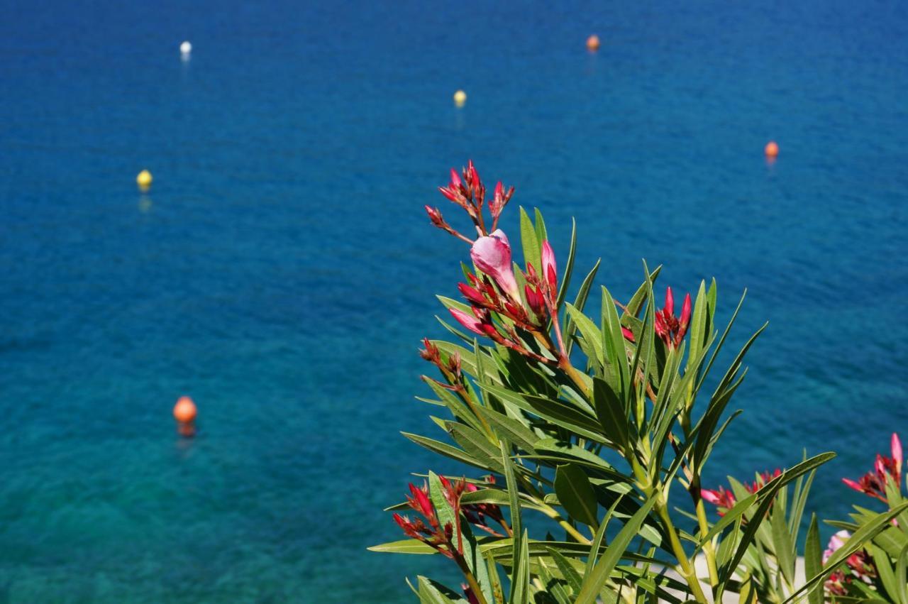 Apartment Layla - Intermezzo With Sea View In Center Of Rabac Exteriör bild